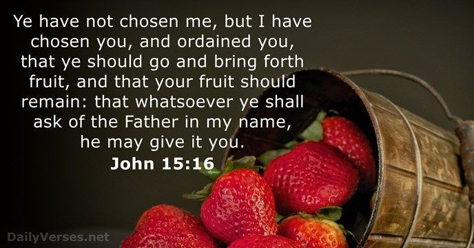 FaithBeautyHope's tweet image. ALL TO JESUS...

Our Heavenly Father☝️ it is He Who chosen You, and I to be an Example to this world that You and I live in. We were once of this world. We Confess Our Sins, and Repented Our Mistakes to JESUS.

#JESUSEXAMPLE

Study: 2 Ch 7:14 KJV; 1 Jh 1:9 KJV🥰❤❤❤🔥🔥🔥🙏🙏🙏