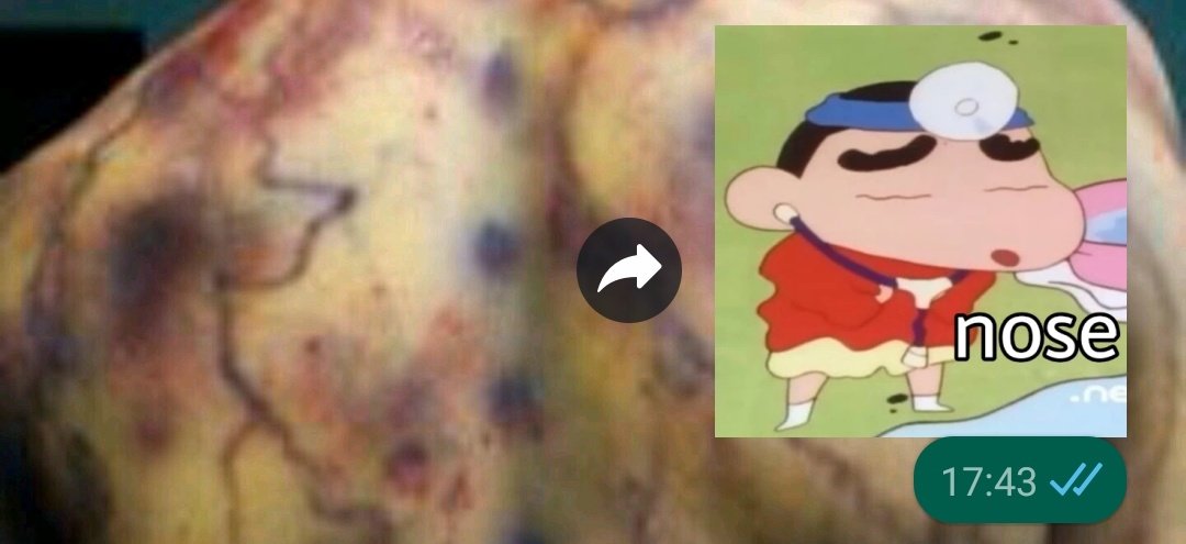 puremoonIight's tweet photo. Cuando la gente me hace consultas médicas random por WhatsApp me dedico a contestar con este sticker https://t.co/q52rrisJnl