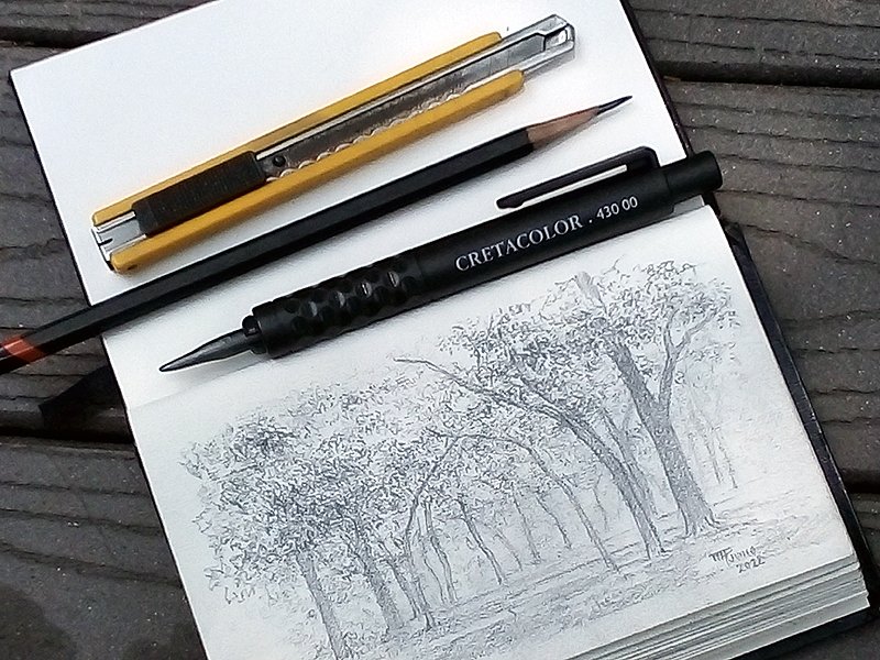 bioimagenmap's tweet photo. En estos días estoy trabajando con el #dibujo de #plantas en distintos niveles y con materiales diversos.

#ilustracióncientífica
#arte
#artenatural
#ilustracion
#artebotanico
#flores
#floral
#pineda https://t.co/CSfCxKYHKl