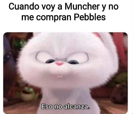 MuncherHouse's tweet photo. El postre va al cora 🥰 https://t.co/LqwEz1qR5f