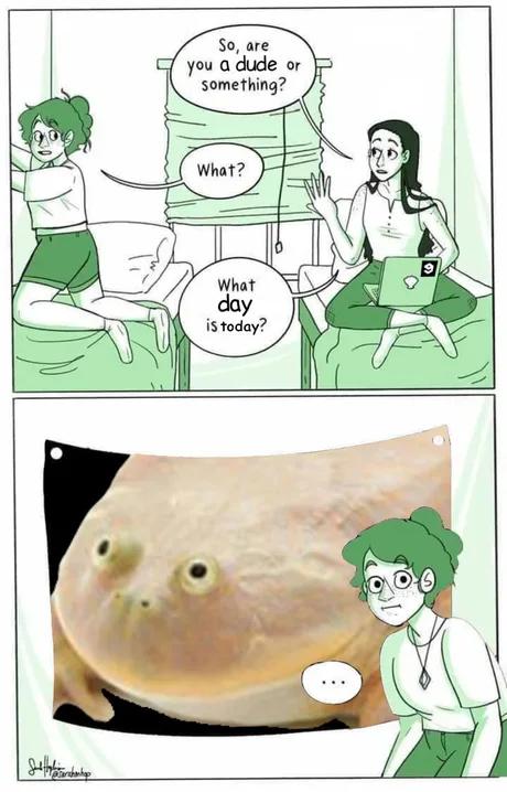 pam_and_bacon's tweet image. 