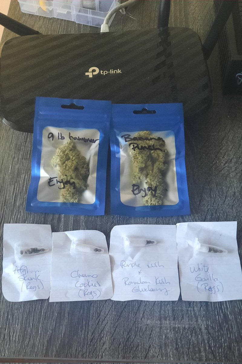 thechronicthumb's tweet photo. A very sweet day. Mail day! Received my "trade Pkg" from my buddy @jeff_thegreat1 and a tasty treat! Seeds Afghani Skunk, Chemo Cookies, White Gorilla & Purple kush and something Glueberry. #CannabisCommunity #Tradezies #cannabisculture #DoOnToOthers #GrernLove #seeds https://t.co/0UWyKSLQPx