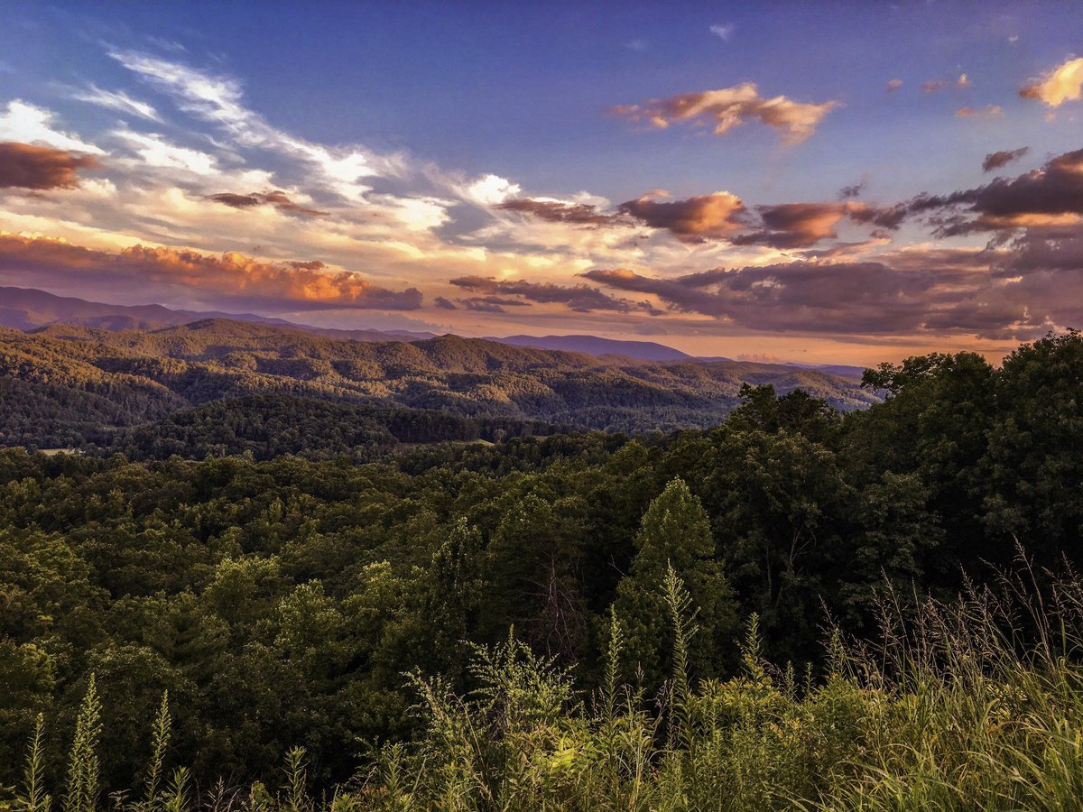 So thrilled the Senate Finance Committee has passed the Charitable Conservation Easement Program Integrity Act. Thank you <a href="/SteveDaines/">Steve Daines</a> <a href="/SenStabenow/">Sen. Debbie Stabenow</a> <a href="/ChuckGrassley/">Chuck Grassley</a> and <a href="/RonWyden/">Ron Wyden</a> for working to restore the integrity of the tax incentive for conservation! <a href="/SenateFinance/">Senate Finance Cmte</a> <a href="/SenFinance/">Senate Finance Committee</a>