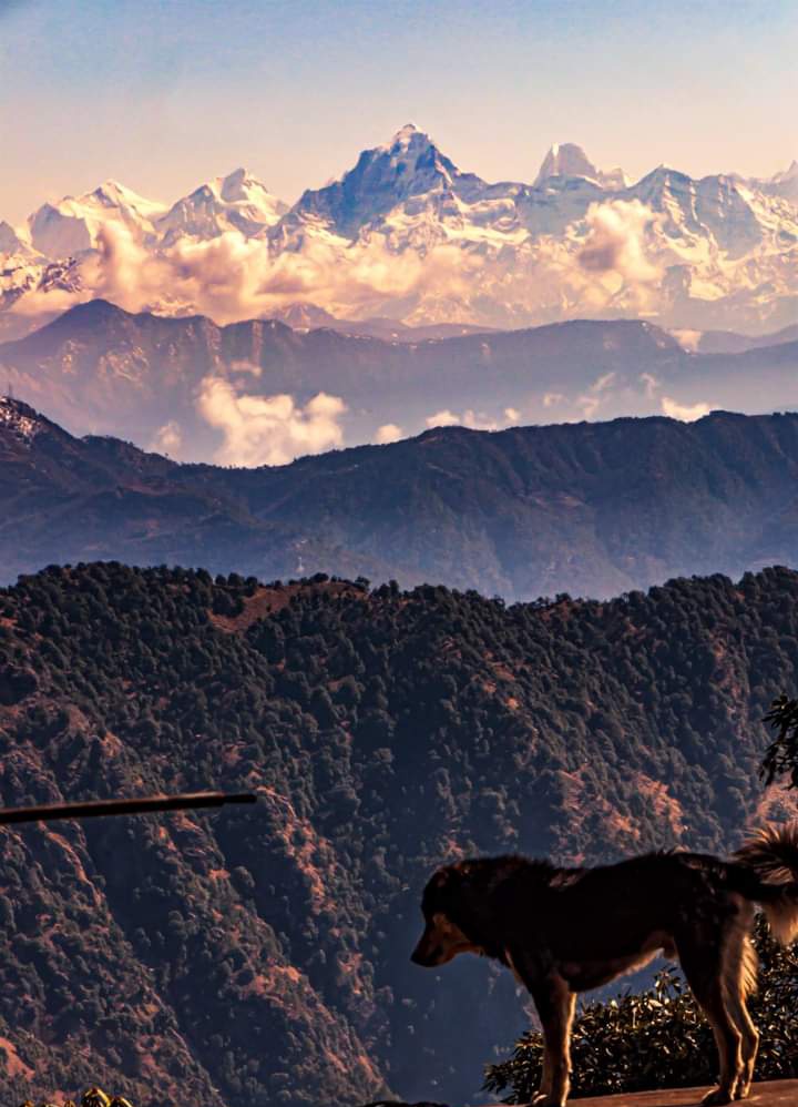 different angle view of Peaks from L to R  Tiruli (E) & (W), Hardevol, Dunagiri, Kalanka, Changbang and Hanuman..as captured from Maniknath cave, Tehri Garhwal.. Manaskhand, @himachal_queen @DoctorAjayita