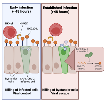 Waggoner Lab tweet media