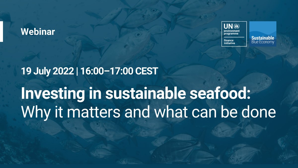 UNEP Finance Initiative (UNEP FI) tweet media