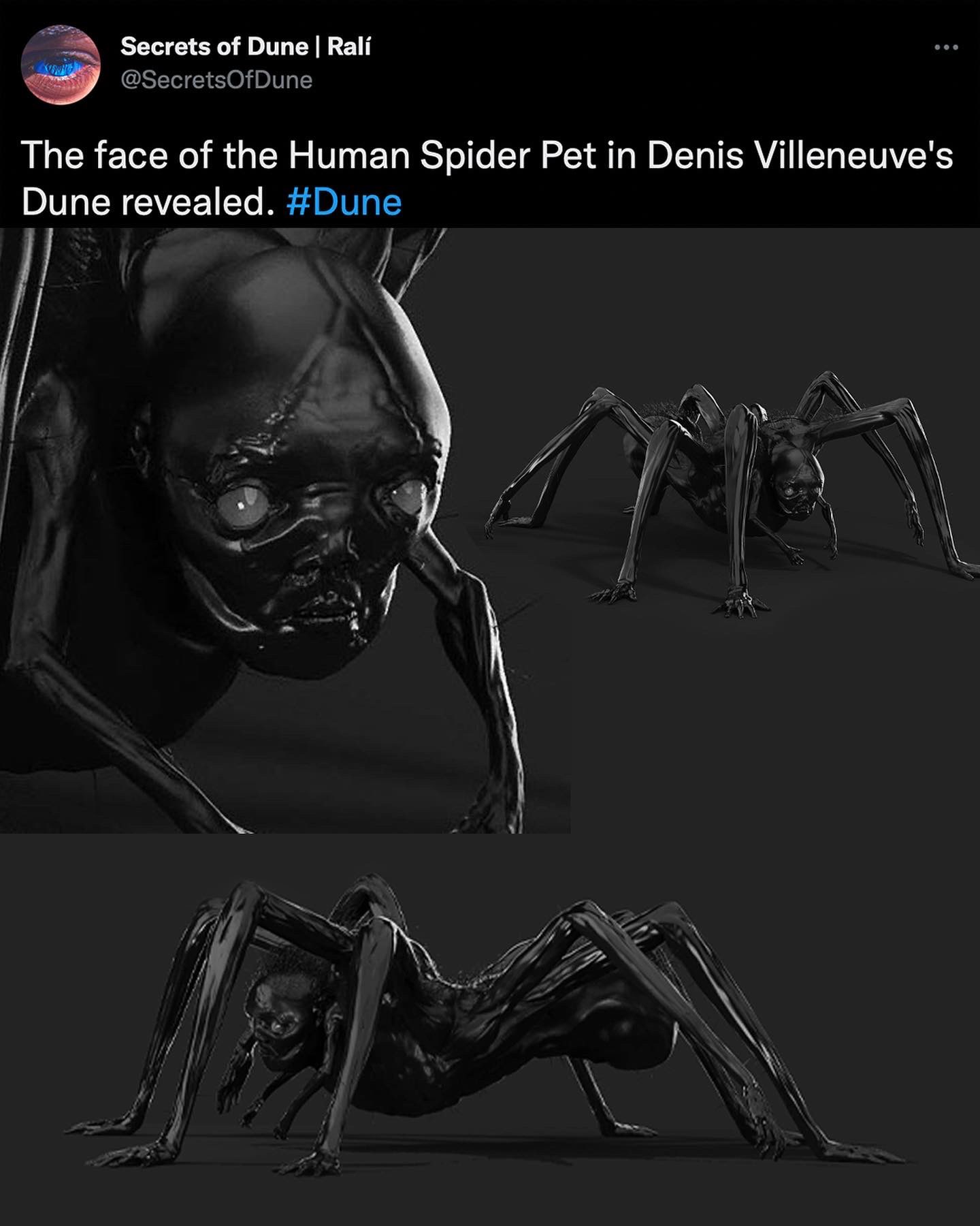 CalderDune On X Today I Learned That The Dune Script, 55 OFF