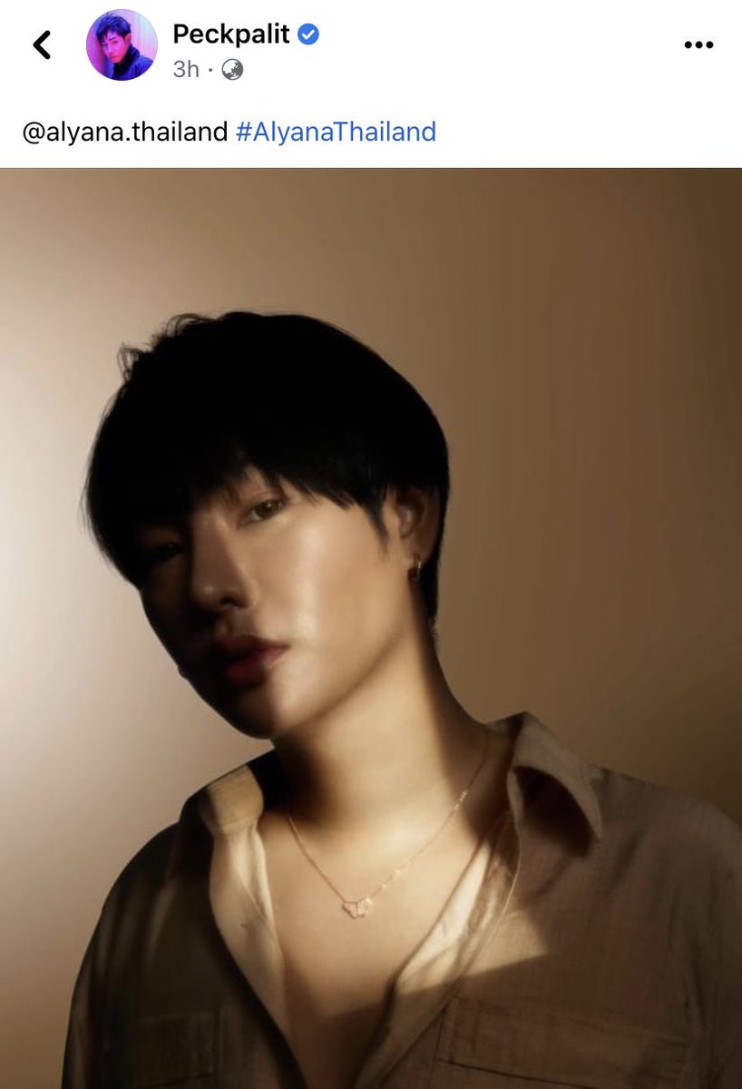 PeckPalitOfficial tweet media