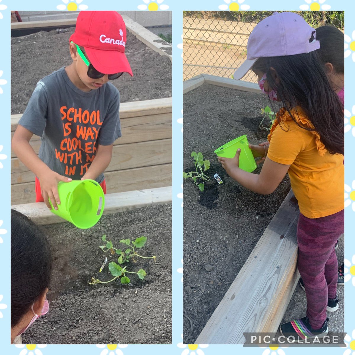 Thank you @cedargirl48 for the new additions to our K garden! Ss were so excited to plant and water this morning 🪴🥬🍈 #FDK #WeAreGardeners