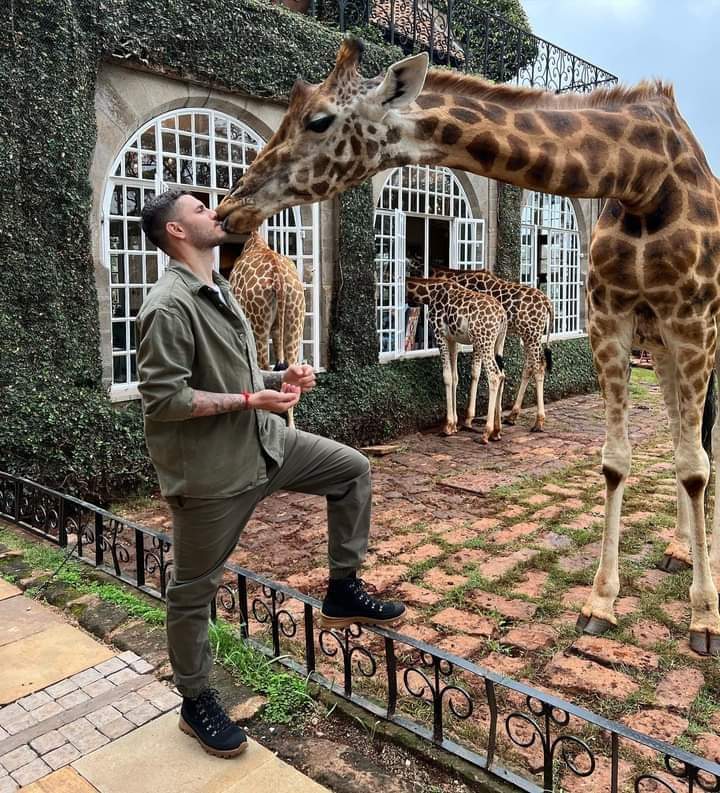AfricaFactsZone's tweet image. Mauro Icardi and his wife, Wanda Nara visited Giraffe Manor in Nairobi, Kenya, a hotel where you can eat with giraffes and interact with them.