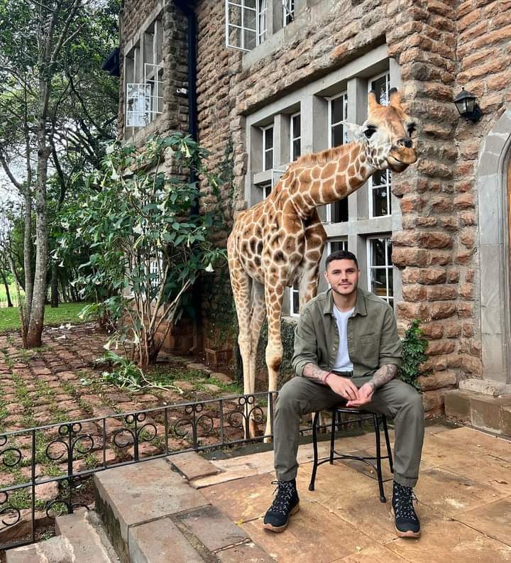 AfricaFactsZone's tweet image. Mauro Icardi and his wife, Wanda Nara visited Giraffe Manor in Nairobi, Kenya, a hotel where you can eat with giraffes and interact with them.