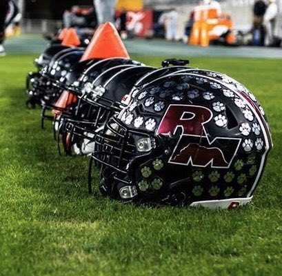 AZHelmetChallenge tweet media