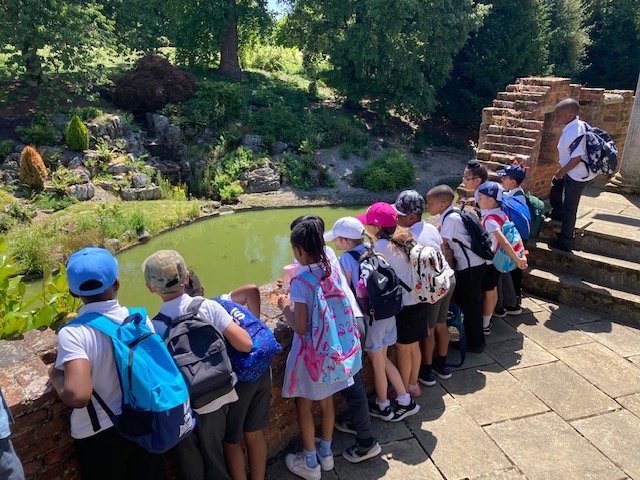 Foxfield Year 3 Cherry tweet media