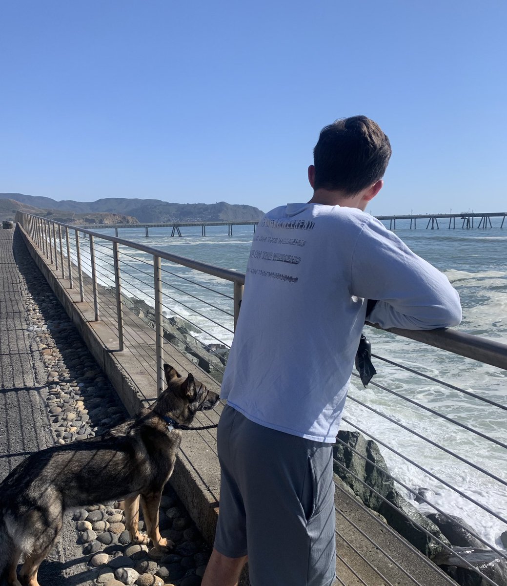 Lauren Murphy, PhD tweet media