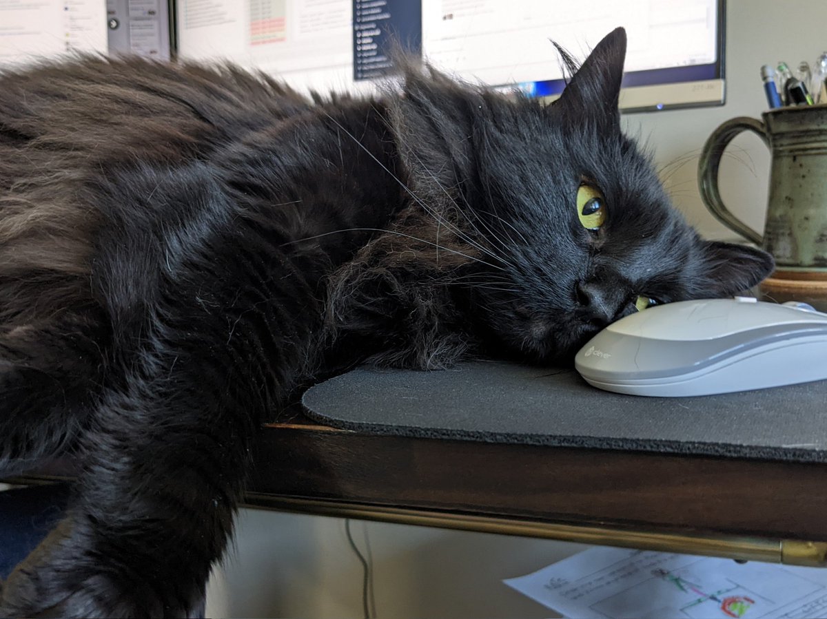 Philip Sharp tweet media