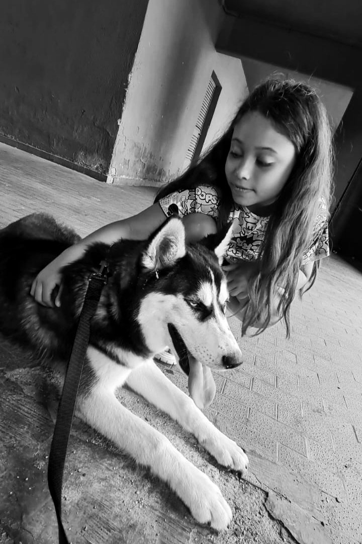 BlogRomano's tweet image. #goodmorning #animals #travelphotography