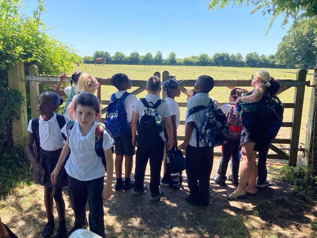 Foxfield Year 3 Cherry tweet media