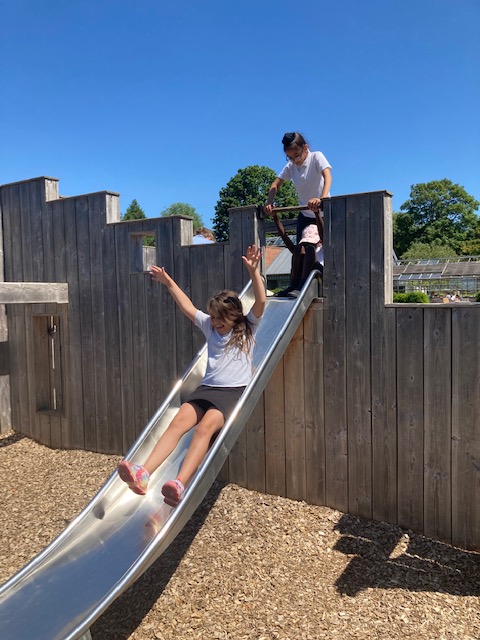 Foxfield Year 3 Cherry tweet media