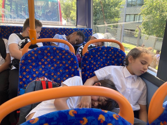 Foxfield Year 3 Cherry tweet media