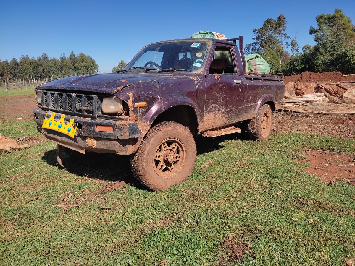 leketetonfarm's tweet photo. Time to reward my #Shambaboy with a makeover. Off to the spannerhub. https://t.co/tp4cpllIOX
