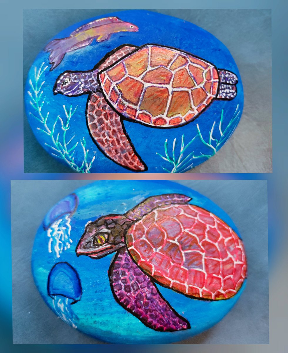 HMBLRockStar's tweet photo. #MorningPaints #RockArt #SeaTurtle #ZombieTurtle #DarRocks321 @HMBLRockStar @RenaissanceRookies https://t.co/CYgf5nPWTW
