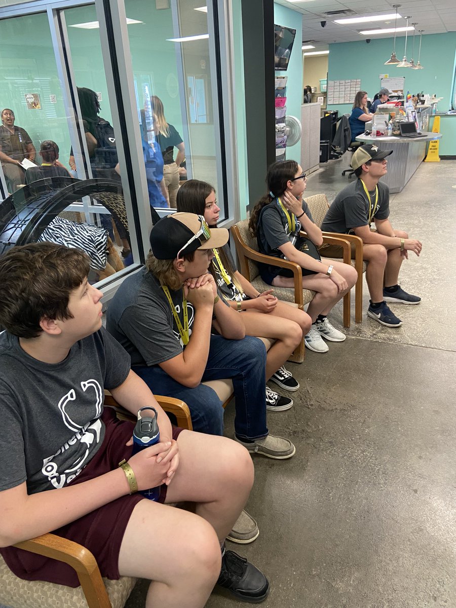 BoilerVetCamp's tweet photo. Learning about all the cool cats and kittens! #purrdue #HSSJCBoilerVetCamp #teamranger https://t.co/PPf4aLF86S