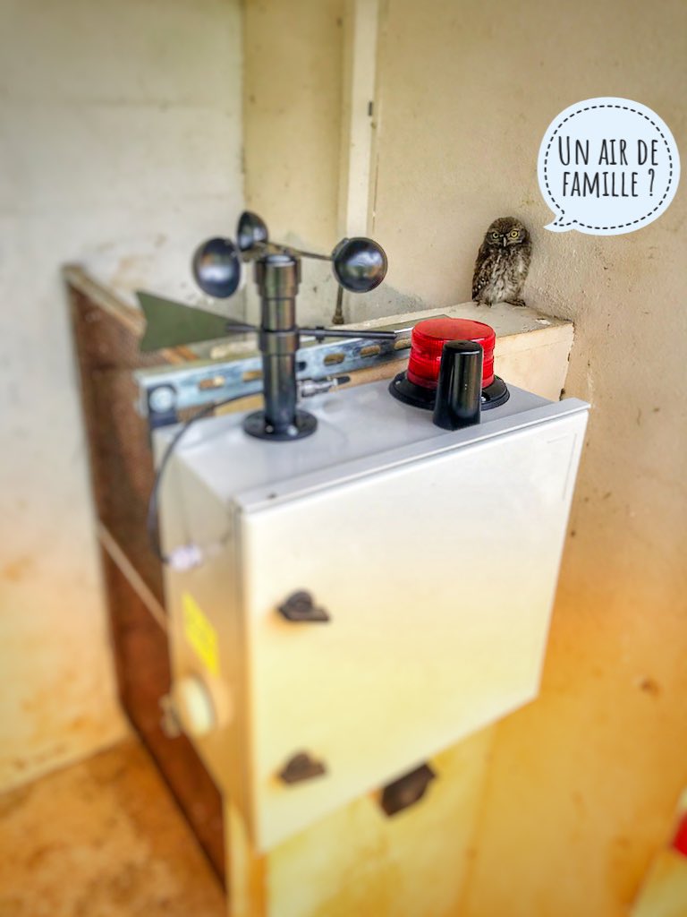 eBoo HIS tweet media