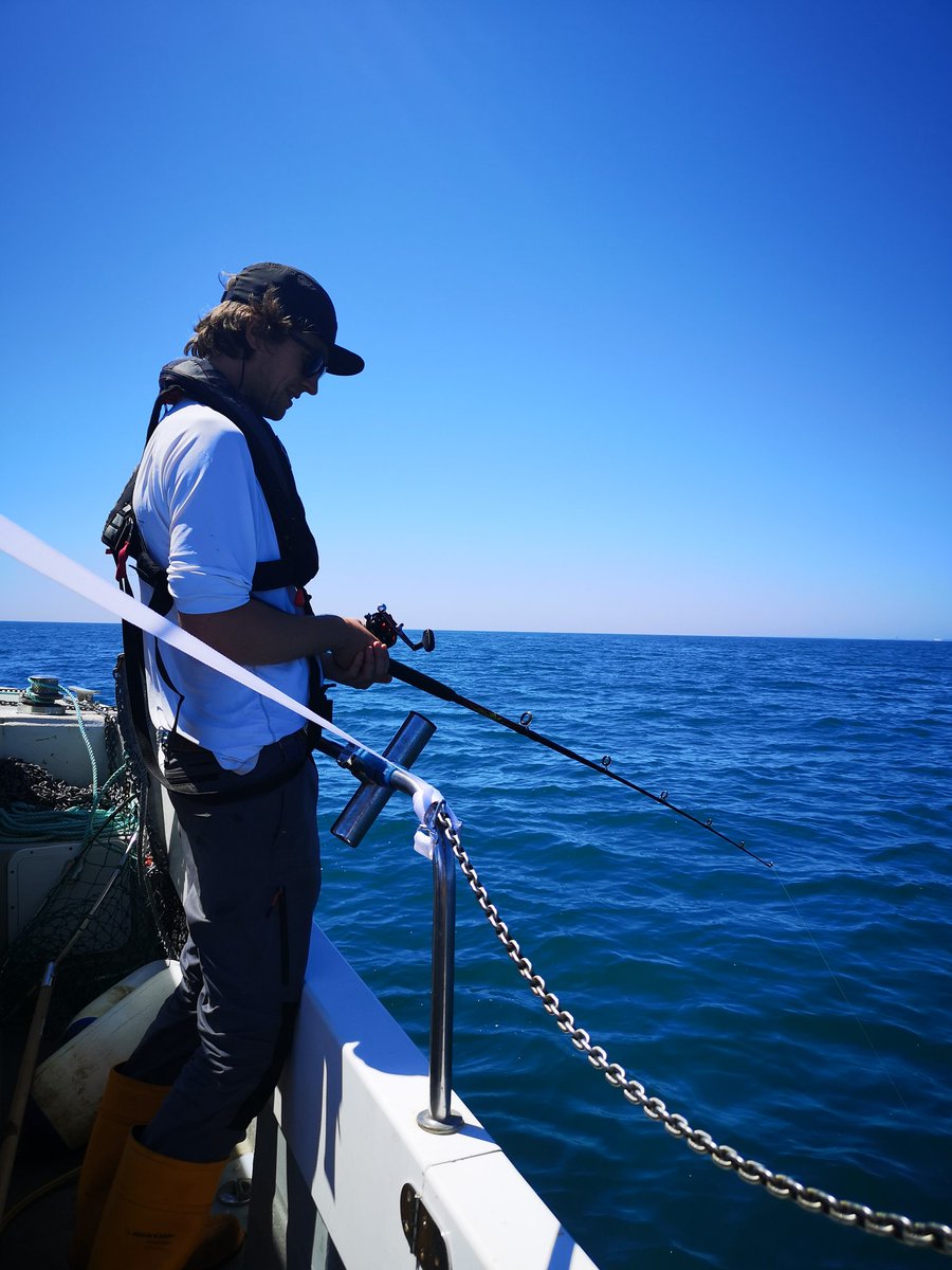 AHall_Marine's tweet photo. Fishing for Black Bream at the Kingmere MCZ in Sussex today! We all had a go- desperate times! 🎣 🐟
@AlliAFish @Pete_Davies1 @fish_intel @NaturalEngland @Channel_Manche @PlymUni https://t.co/Luo5B88n76