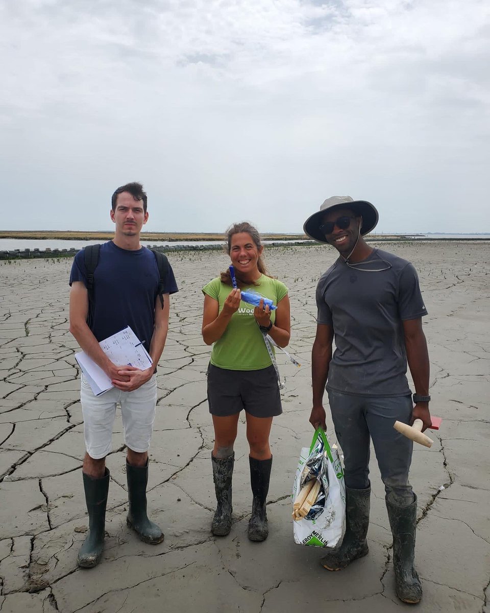 When you finally go out to play again in the field! (Ps thanks so much to <a href="/NORA_Europe/">NORA_Europe</a> for helping the connection with <a href="/MountainCD/">Charlie Mountain</a> !) #saltmarsh #ecology <a href="/WearehereVenice/">WearehereVenice</a> <a href="/WaterLANDS_EU/">WaterLANDS</a> <a href="/offset_venezia/">offset_venezia</a>