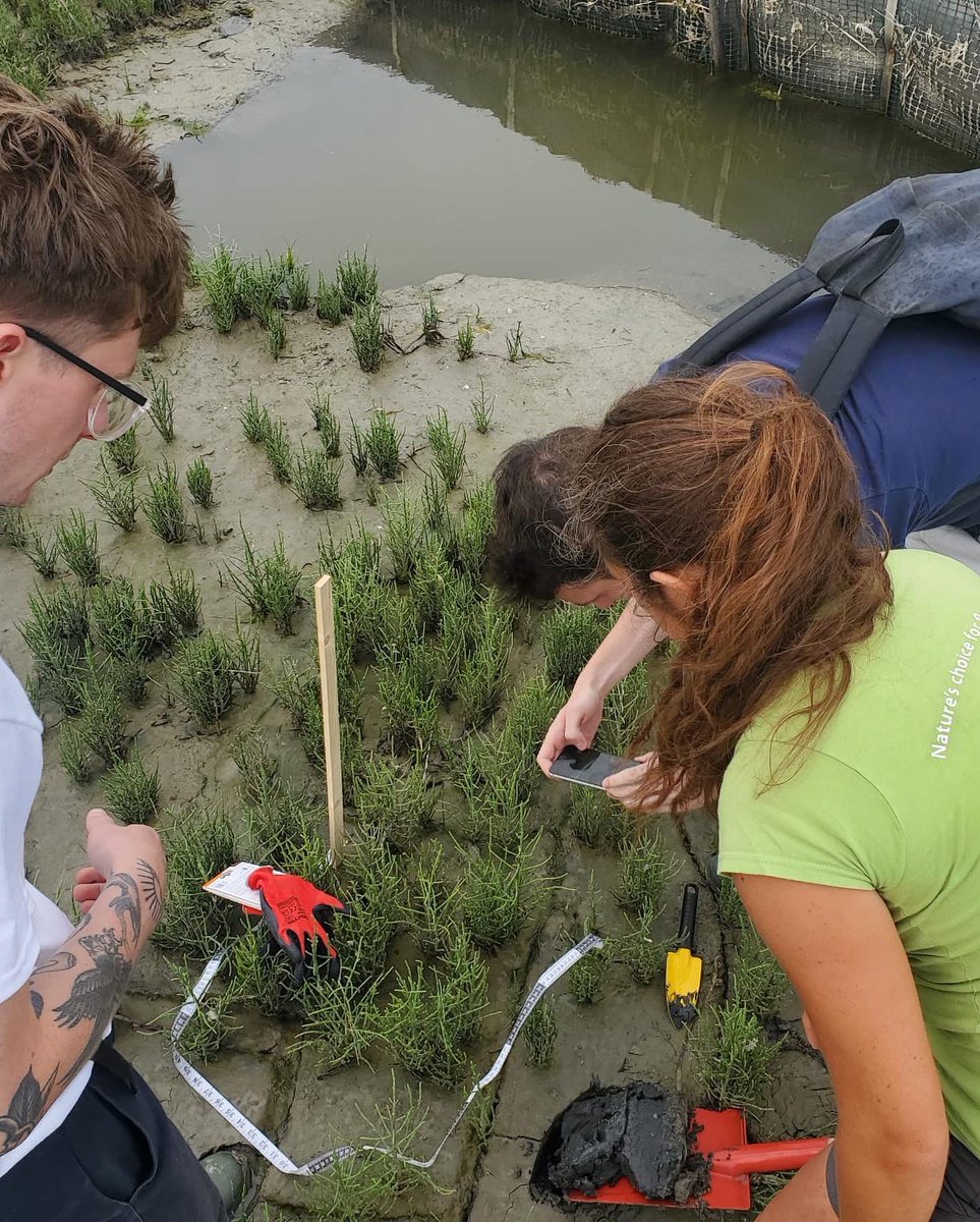 Camilla Bertolini tweet media