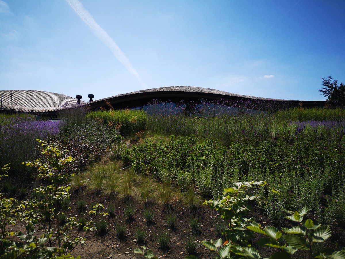 Windsor Great Park tweet media