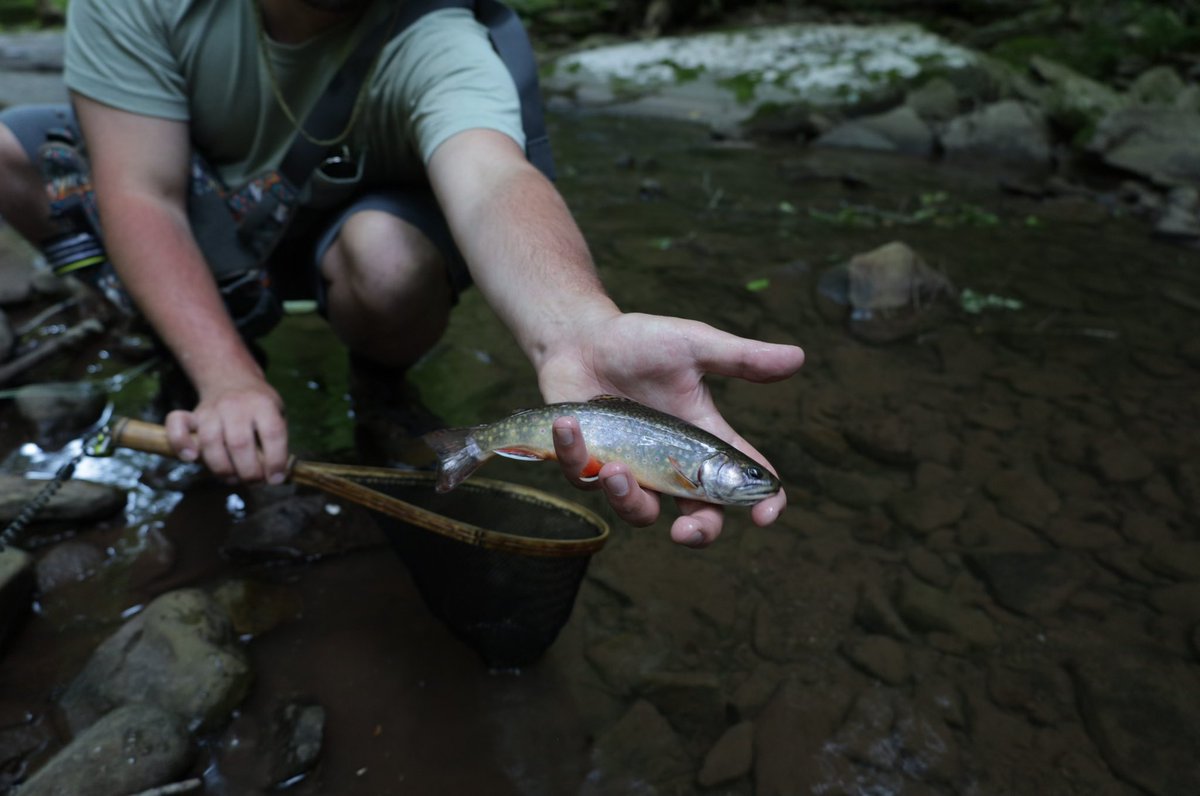 With little sleep and early morning trips planned <a href="/AnglersCoffee/">Angler's Coffee</a> allows us to make the most of our day! Nothing beats sipping on the dry dropper blend while listening to the local river come alive.
