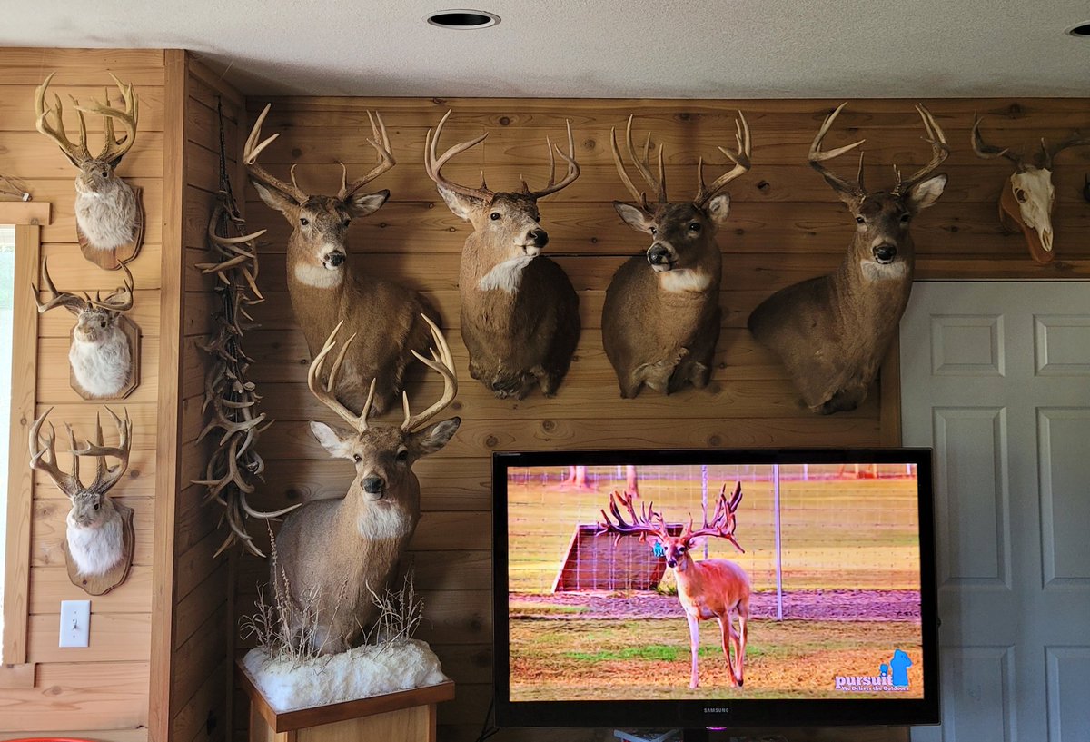 @DruryOutdoors @HHASports Telling the kids about each hunt is the best ! Making memories.   And the Jackalope hunts are up there with Snipe