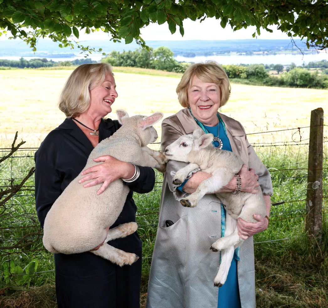 Brookfield Farm tweet media