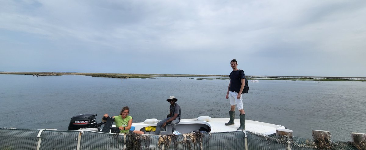 Charlie Mountain tweet media