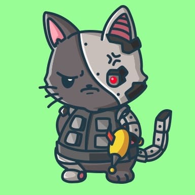 LostCatsClub tweet media