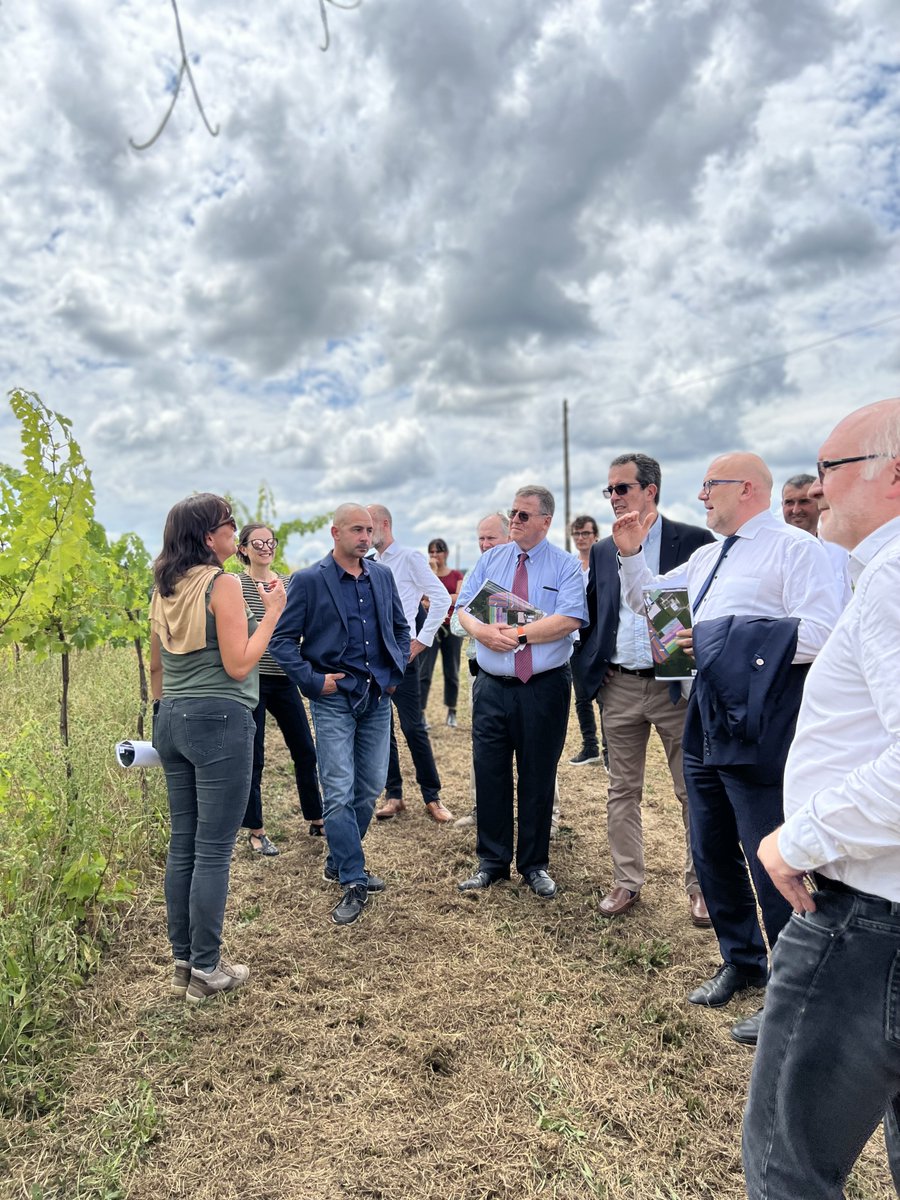 Préfet de Lot-et-Garonne 🇫🇷 🇪🇺 tweet media