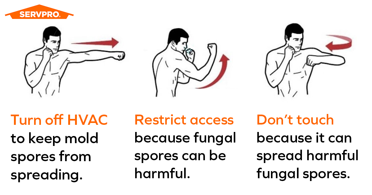 Servpro_PC's tweet image. Fight #mold with these three defenses.