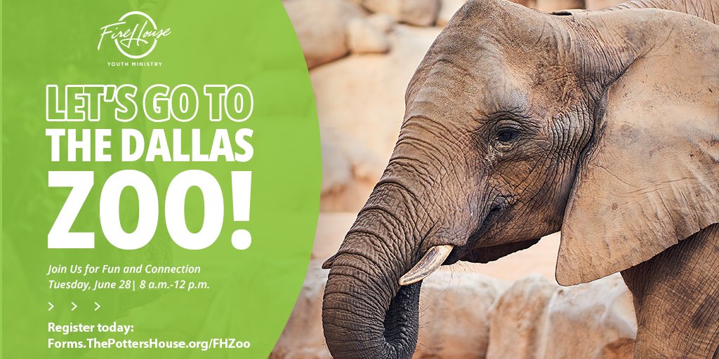 TPHDallas's tweet photo. Ready for some summer fun? Our @IAmFireHouse crew is taking a field trip to the Dallas Zoo on Tuesday, June 28, at 8 a.m.! 🦁🐢🐵🐘 

Only 100 kids are allotted, so make plans now: https://t.co/WOALIIpoQy

#IAmFireHouse https://t.co/MAIbD6whYG