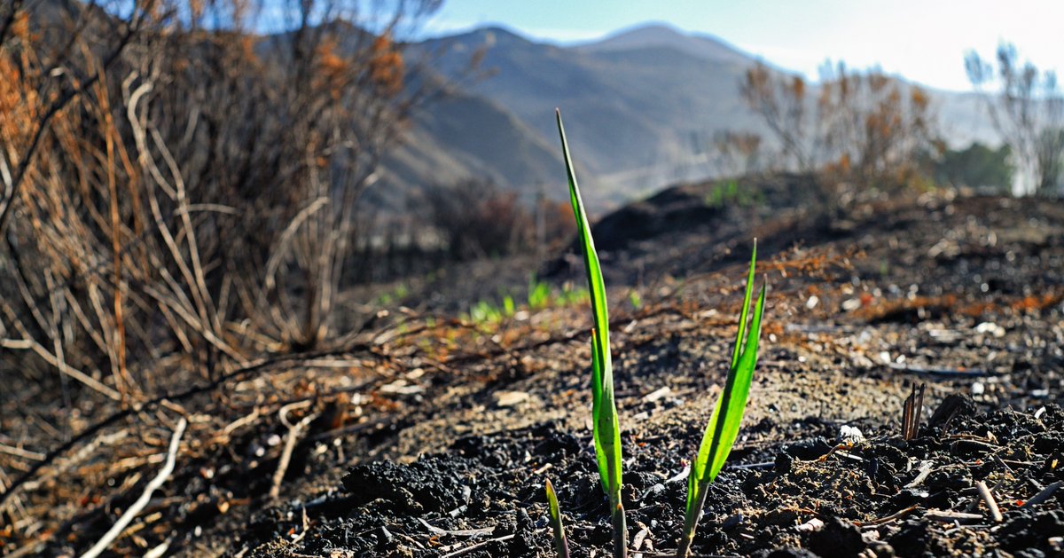 WRA, Inc. tweet media