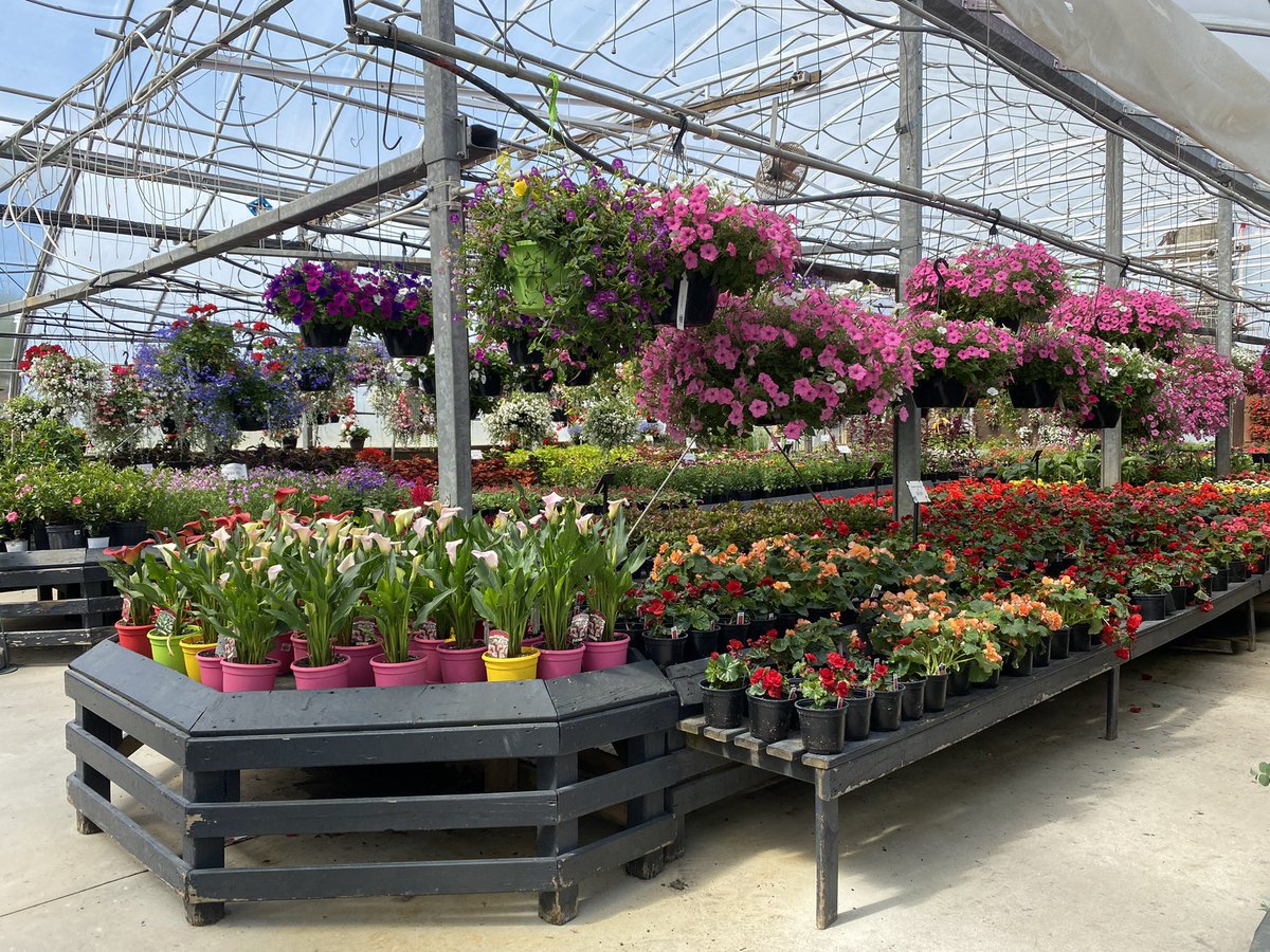 GreenhouseNs's tweet photo. What better way to celebrate the first full day of summer than a trip to @BloomGardenCtr. 😍 #Halifax https://t.co/SsYC4wAYuT