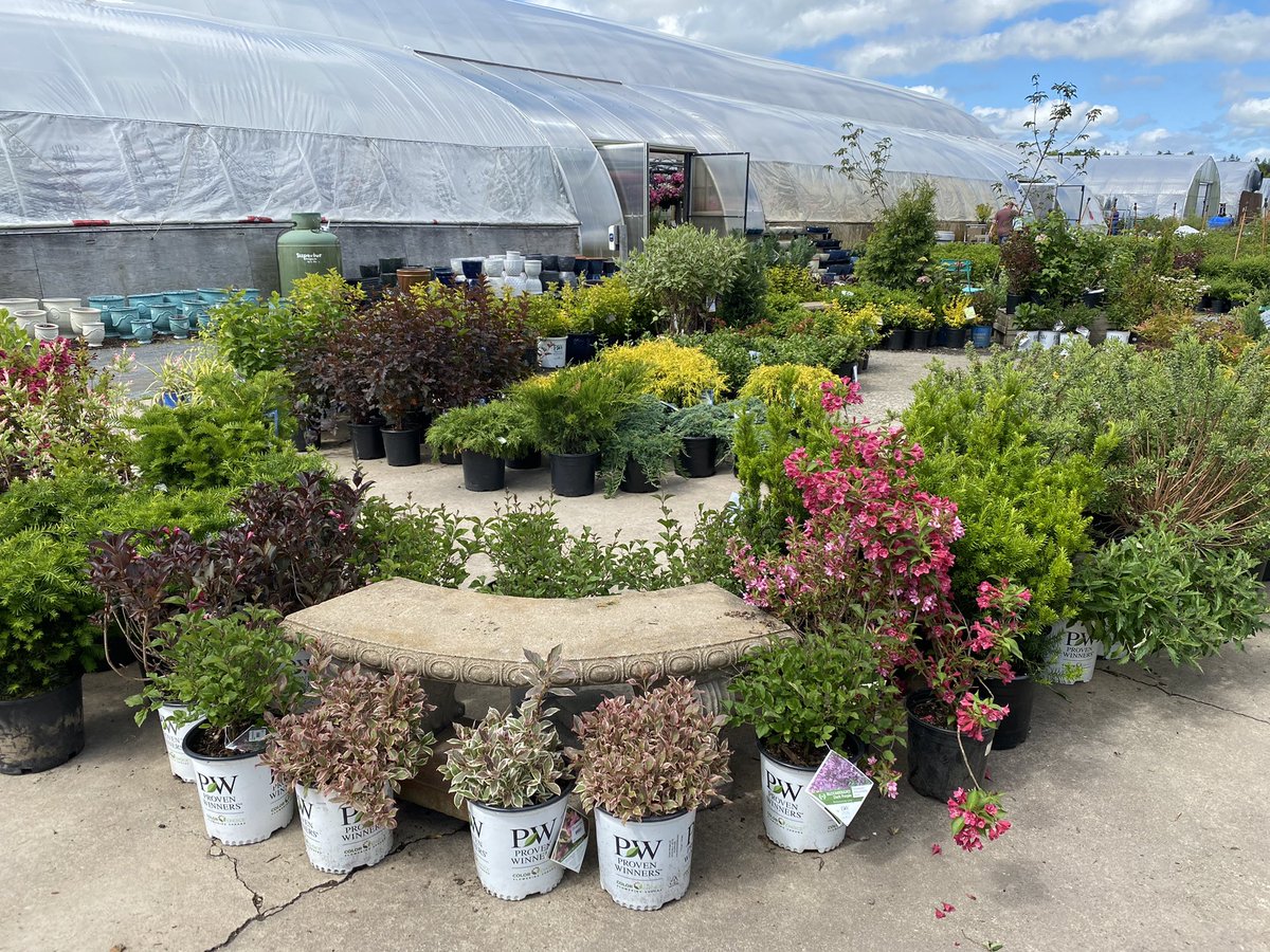 GreenhouseNs's tweet photo. What better way to celebrate the first full day of summer than a trip to @BloomGardenCtr. 😍 #Halifax https://t.co/SsYC4wAYuT