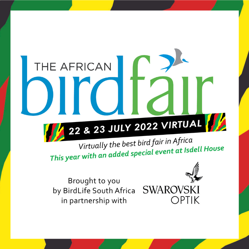 BirdLife_SA's tweet photo. Whether you’re looking to attend one of the fascinating pan-African talks 🌍; learn more about birding in your own back yard 🌳; test your knowledge in our quiz 🏆; or meet the @BirdLife_SA team 🇿🇦, you do not want to miss this year’s African Bird Fair. 2/4⬇️ https://t.co/O8vFAB8SKI