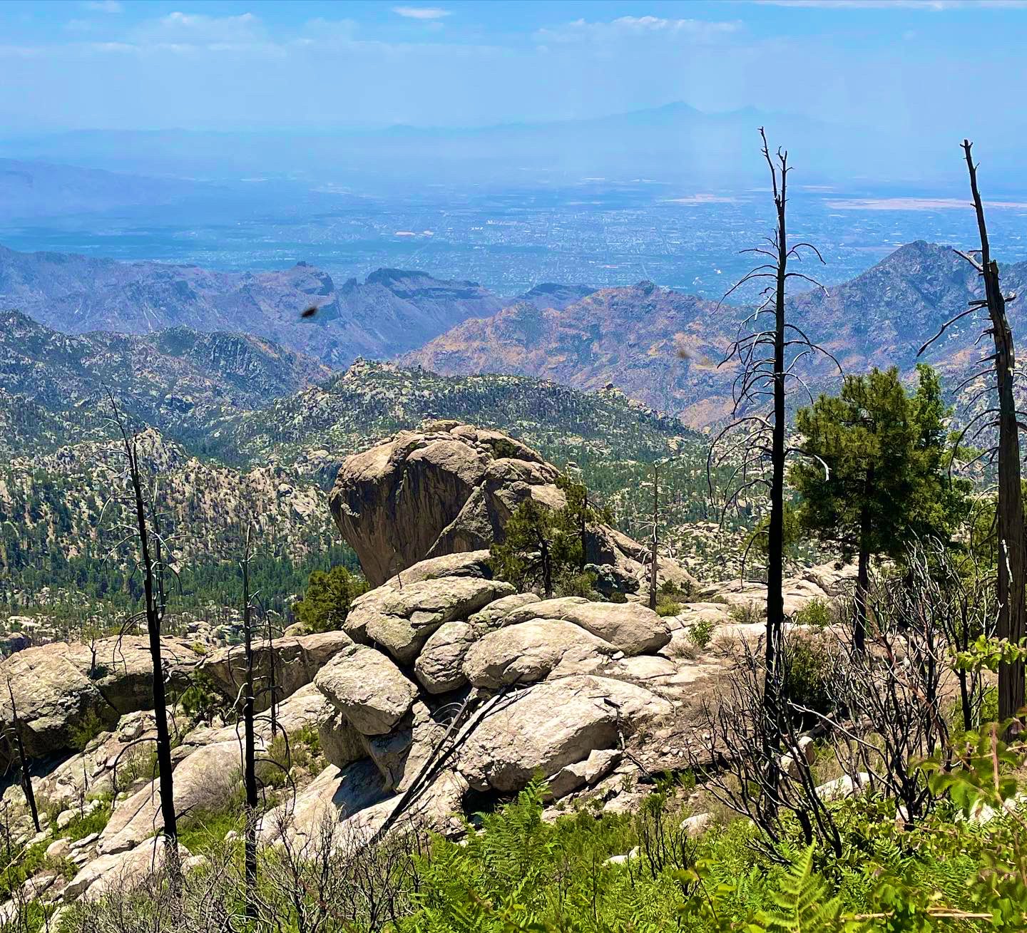 A view of tucson i  the distance from Mt Lemmon.  There is a rock formation that looks like a huge lizard looking out over the valley.