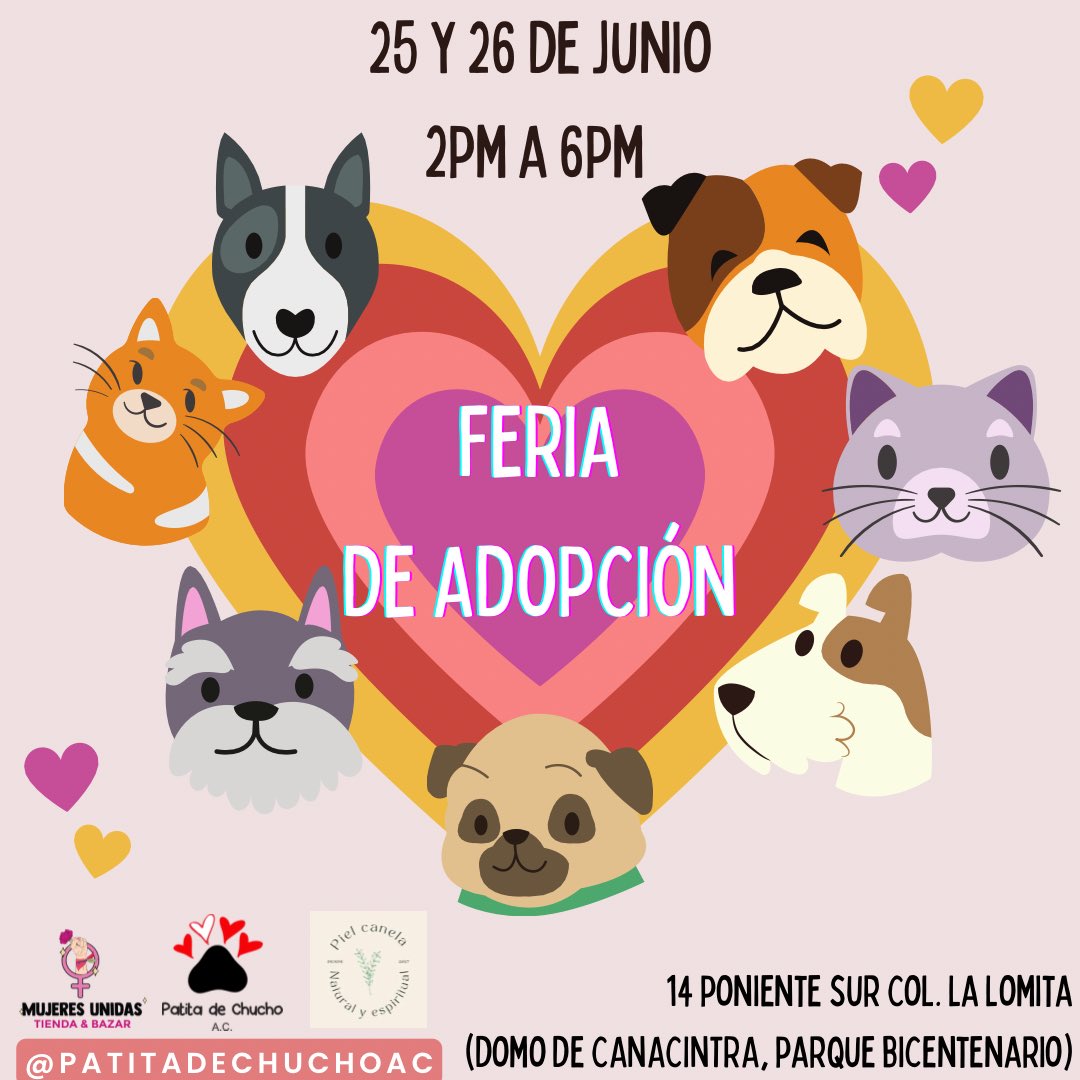 Patitadechucho's tweet photo. Próxima feria de adopción. ¡Visítanos y conoce a tu nuevo mejor amigo! 

¿Nos ayudas a compartir? 

#AdoptaNoCompres 

Tuxtla Gutiérrez. 

Información 👇🏼 https://t.co/BtN9PhqjvE