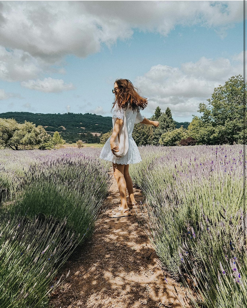Happy #LavenderMonth! You know where you can find us. 🍷 ✨ 
 
📷: @palmtreesandpellegrino