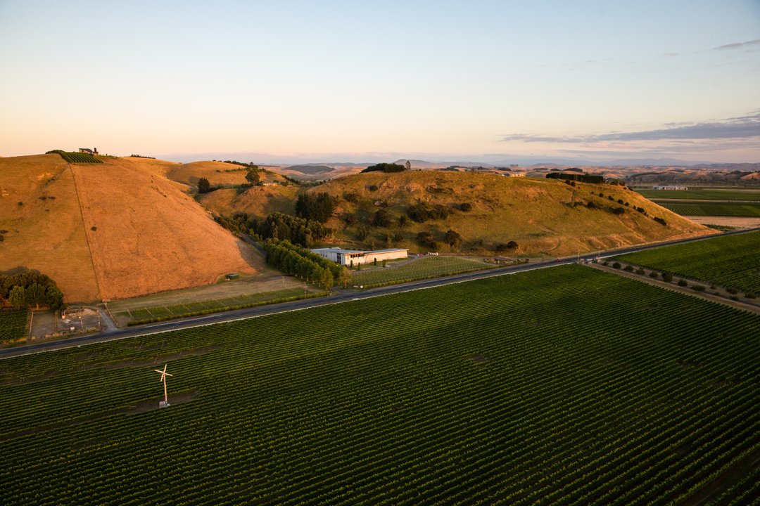 Ngā mihi o Matariki, te tau hou Māori.

Matariki is a celebration in Aotearoa New Zealand that honours our season of winter under our stars. The rising of Matariki on the eastern horizon signals the start of a new cycle of life and the promise of new growth.

We wish to extend