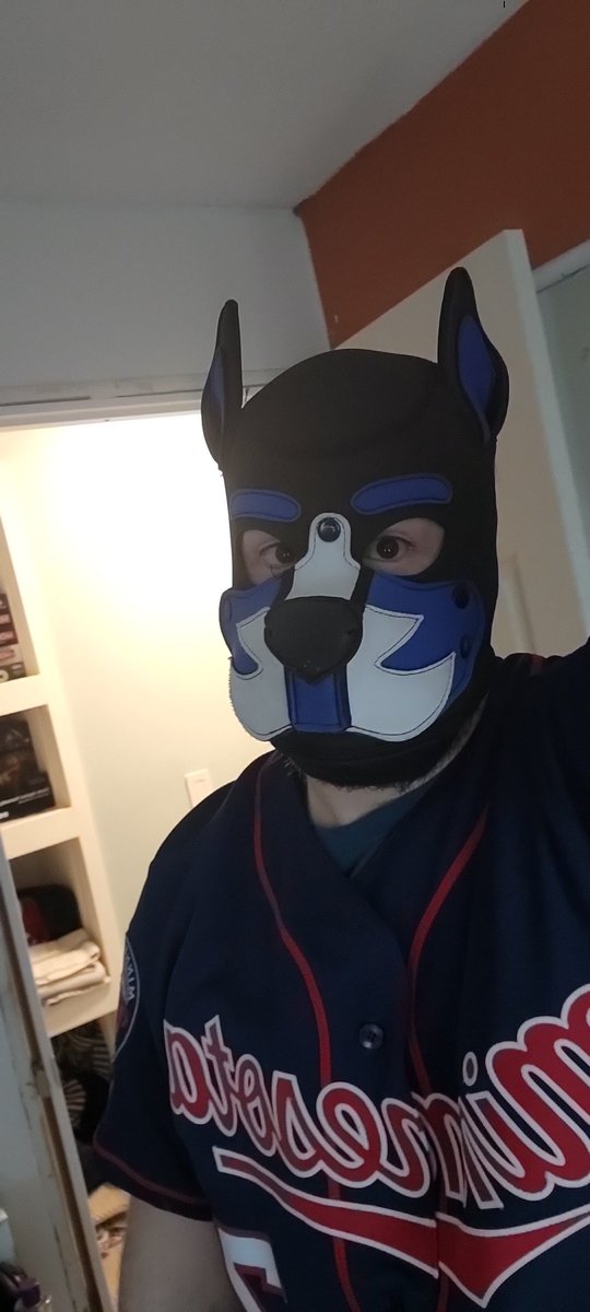 PupAuto's tweet image. Awroo! Hey pups been a bit I been busy pup. But still time for fun! Off to TWINS game! I promise not to chase after ball! Woof!