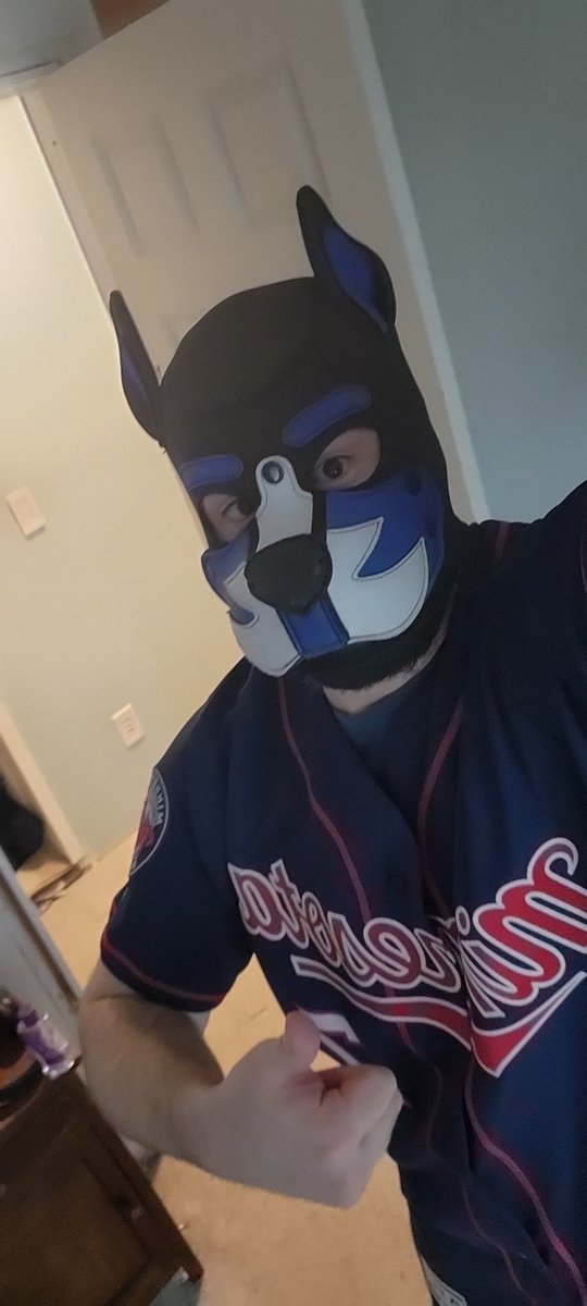 PupAuto's tweet image. Awroo! Hey pups been a bit I been busy pup. But still time for fun! Off to TWINS game! I promise not to chase after ball! Woof!