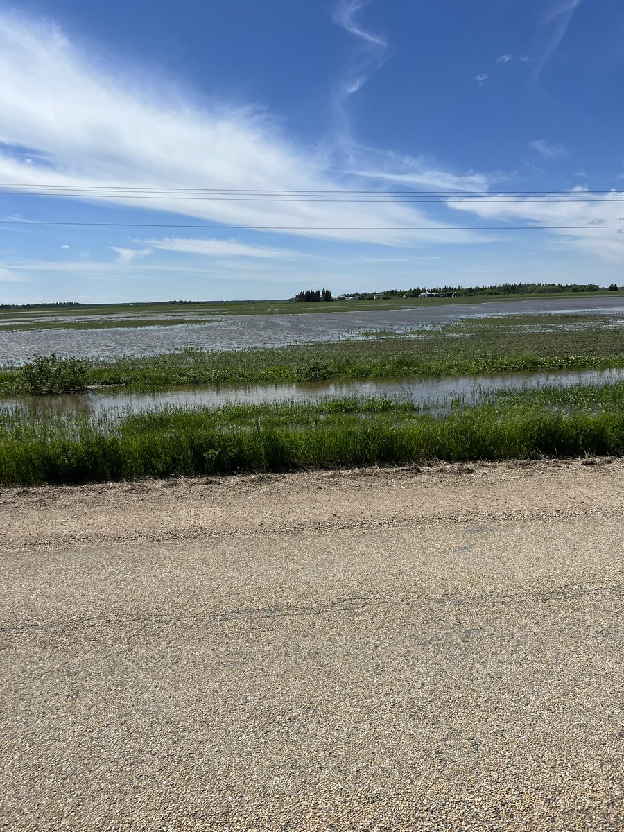 LWirgau's tweet photo. The way this year is going gonna have to start giving my land description to cut the PST off beer and alcohol ffs. #farmuse https://t.co/GWyP50nI4u